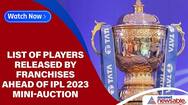 IPL 2023 Auction: Complete list of players released by franchises, purse remaining-ayh