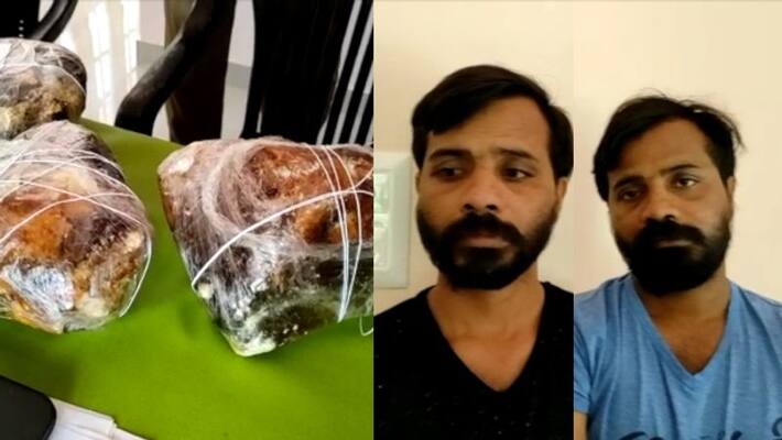 two arrested with ambergris in thiruvananthapuram two arrested with ambergris in thiruvananthapuram
