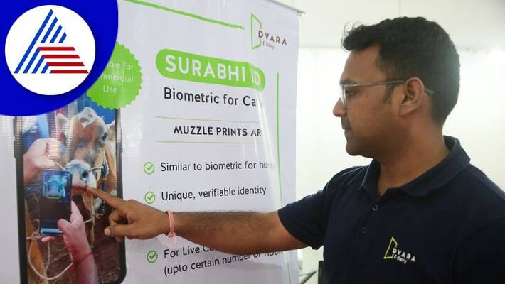 Surabhi app has come to scan cows mouth gvd Surabhi app has come to scan cows mouth gvd