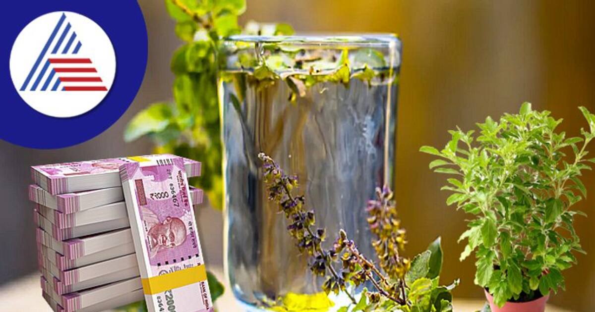 உங்களுக்கு பணக் கஷ்டம் ஜென்மத்துக்கும் வராது.. துளசி வேரை இப்படி யூஸ் பண்ணுங்க!!