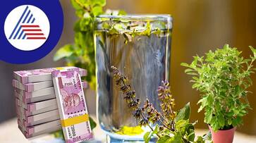 astrological remedies for financial problems astrological remedies for financial problems