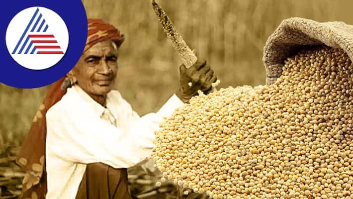 Millet Why This Indian Superfood Is A Smart Choice For The World Vin Millet Why This Indian Superfood Is A Smart Choice For The World Vin