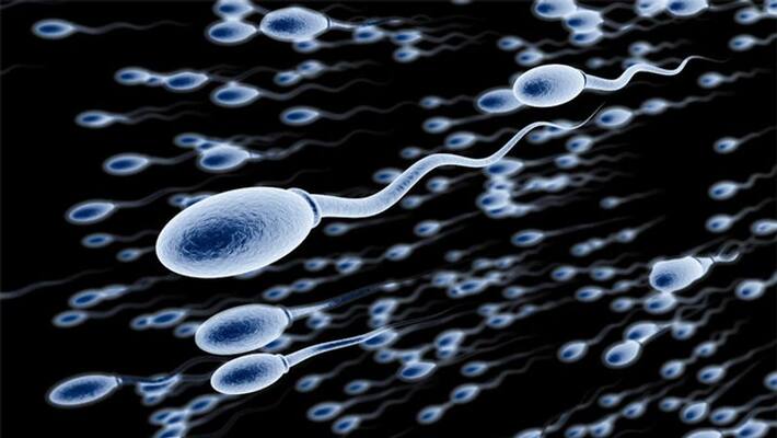 Tips to improve sperm quality with natural remedies Tips to improve sperm quality with natural remedies