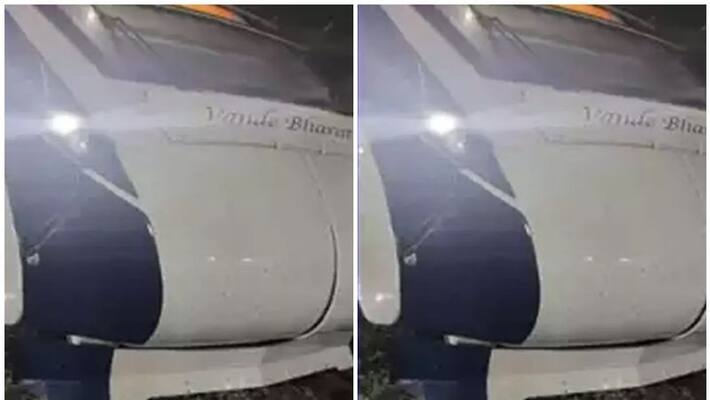 Mysuru Bengaluru Chennai route Vande Bharat Express hits calf suffers dent san Mysuru Bengaluru Chennai route Vande Bharat Express hits calf suffers dent san