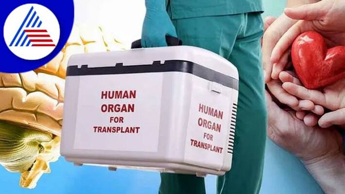 3 brain dead people including soldier gave life to 11 by donating organ akb 3 brain dead people including soldier gave life to 11 by donating organ akb