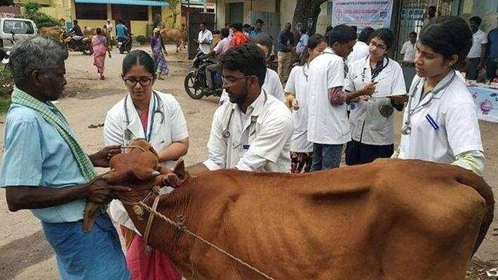 job vacancies in tamilnadu veterinary department job vacancies in tamilnadu veterinary department