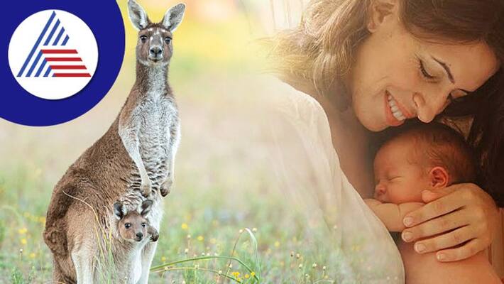 Know more about Kangaroo Care and its Benefits Know more about Kangaroo Care and its Benefits