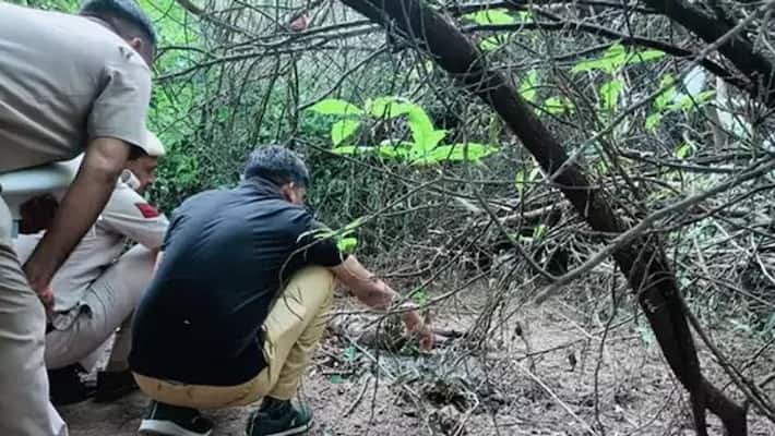 shocking crime narmadapuram news real uncle 7 year old girl murdered after rape then threw the dead body in forest kpr shocking crime narmadapuram news real uncle 7 year old girl murdered after rape then threw the dead body in forest kpr