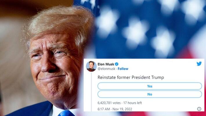 Elon Musk asks Twitter users if Donald Trump should be reinstated, Creates a twitter poll AKA Elon Musk asks Twitter users if Donald Trump should be reinstated, Creates a twitter poll AKA