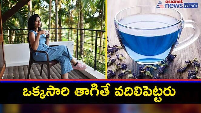 blue tea with its miraculous health benefits