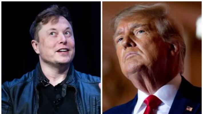 reinstate donald trump or not elon musk with poll in twitter reinstate donald trump or not elon musk with poll in twitter