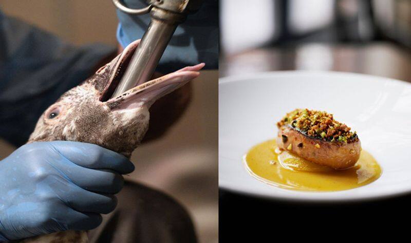 King Charles bans controversial food foie gras know reason NTP