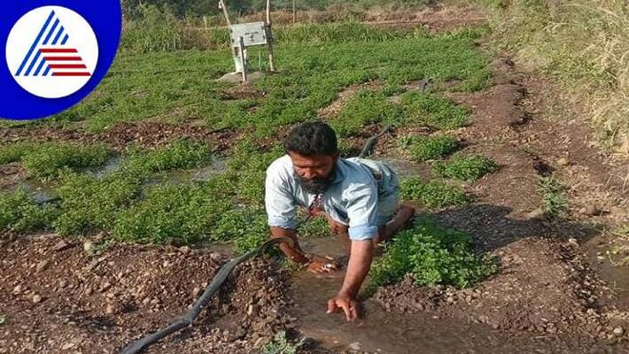 Special Disabled Person Successful in Agriculture in Kalaburagi grg Special Disabled Person Successful in Agriculture in Kalaburagi grg