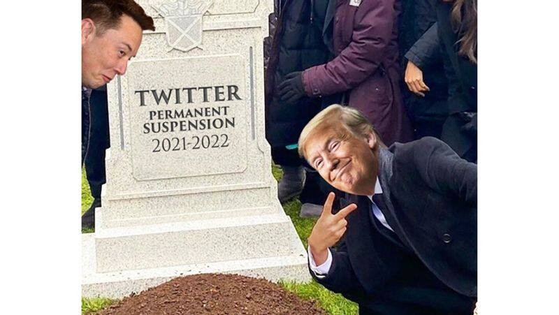 Elon Musk Restores Ex American President Donald Trump Twitter Account Social Media Flooded with Donald Trump Memes AKA