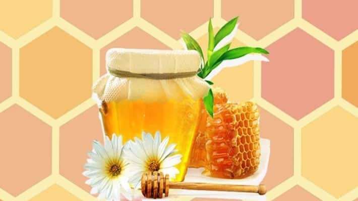 Honey is good for your heart and metabolism new study reveal NTP Honey is good for your heart and metabolism new study reveal NTP
