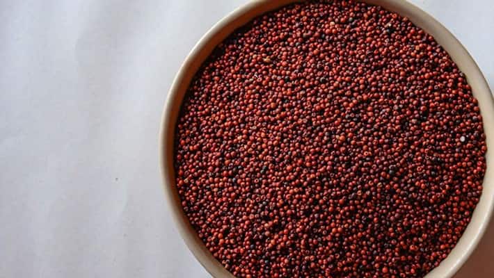Raggi will be supplied to public instead of wheat Raggi will be supplied to public instead of wheat