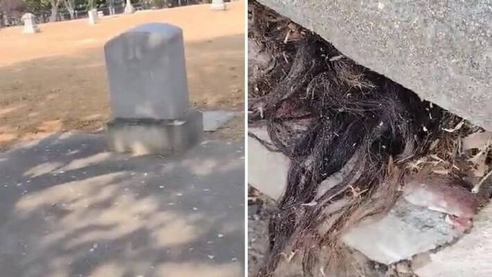 hair poking out of grave hair poking out of grave
