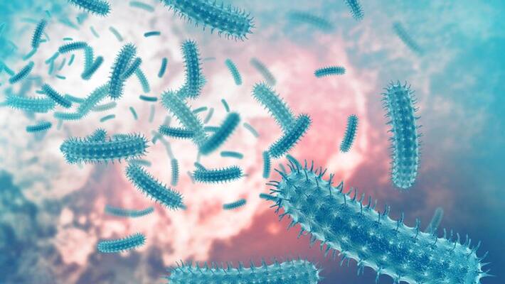five bacteria types claimed 6.8 lakh lives in India in 2019 lancet study five bacteria types claimed 6.8 lakh lives in India in 2019 lancet study