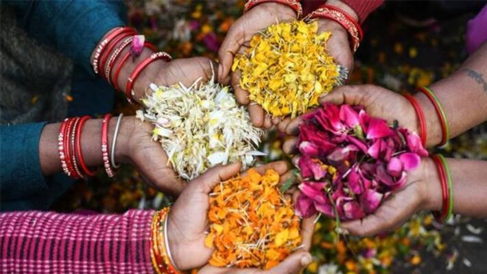 5 most important Flowers that mostly used for Pooja 5 most important Flowers that mostly used for Pooja