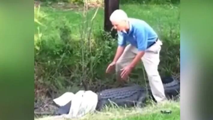 man tries to catch alligator with a cloth man tries to catch alligator with a cloth