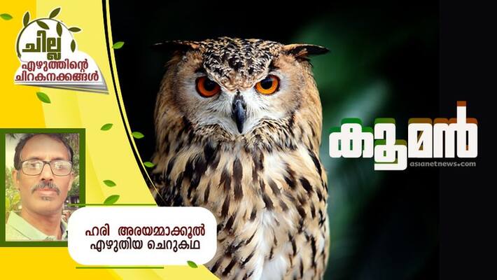 chilla malayalam short story by hari Arayammakkool chilla malayalam short story by hari Arayammakkool