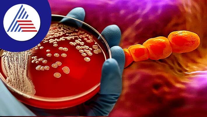 Beware These Dagnerous Five Bacterias Sit Quietly In These Things Vin Beware These Dagnerous Five Bacterias Sit Quietly In These Things Vin