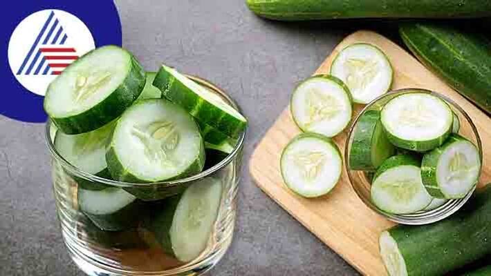 Cucumber In Winter: Should You Eat Cucumber In Cold Weather Vin Cucumber In Winter: Should You Eat Cucumber In Cold Weather Vin