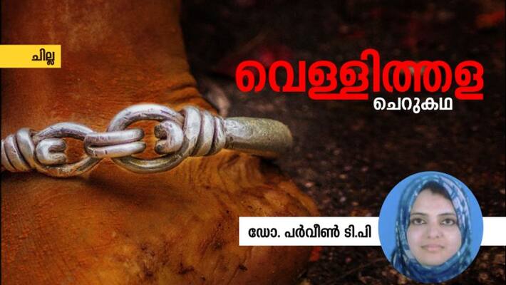 chilla malayalam short story by Dr Parveen TP chilla malayalam short story by Dr Parveen TP