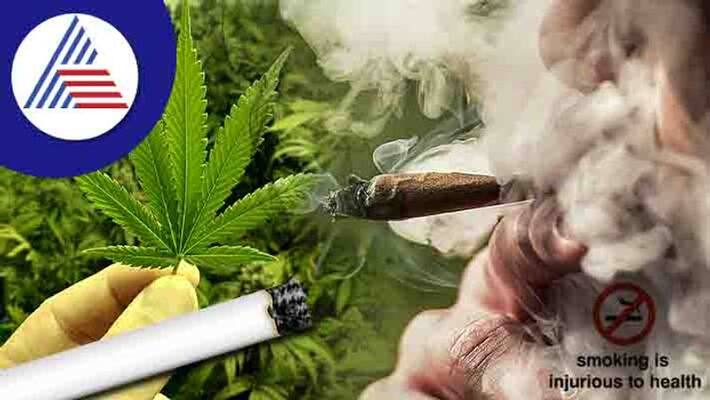 Again 3 medical college students arrested for selling drugs in Mangaluru gvd Again 3 medical college students arrested for selling drugs in Mangaluru gvd