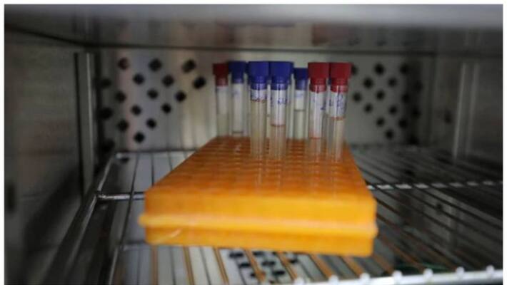 Kuwait detects cholera in citizen who returned from abroad Kuwait detects cholera in citizen who returned from abroad