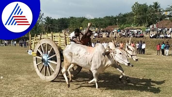Bullock cart owner fined for oxen peeing In Khammam, Telangana Bullock cart owner fined for oxen peeing In Khammam, Telangana