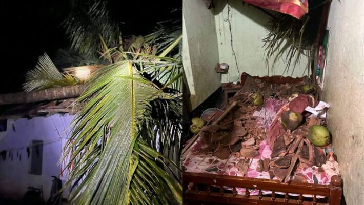home maker gets narrow escape from wild elephant in wayanad home maker gets narrow escape from wild elephant in wayanad