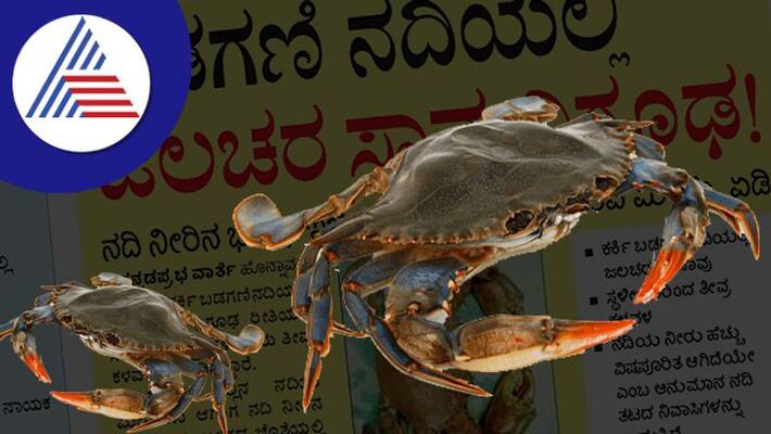 Aquatic death in Badgani river is a mystery at uttara kannada rav Aquatic death in Badgani river is a mystery at uttara kannada rav