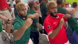 After Robert Lewandowski Goal, Saudi Arabia Fan Switches His Jersey to Poland, Video Went Viral