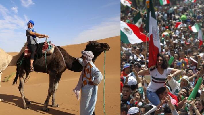 Fans at Risk Of Camel Flu in Qatar, WHO and Host Nation Ready to Face, Report Fans at Risk Of Camel Flu in Qatar, WHO and Host Nation Ready to Face, Report