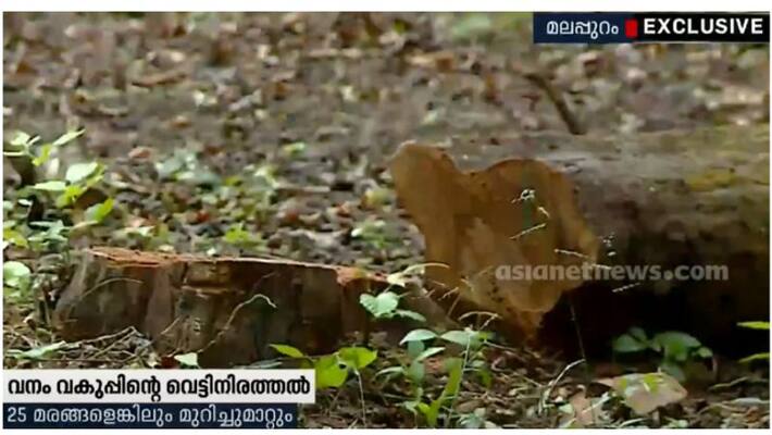 forest department has cut old huge trees for office construction at nilamboor forest department has cut old huge trees for office construction at nilamboor