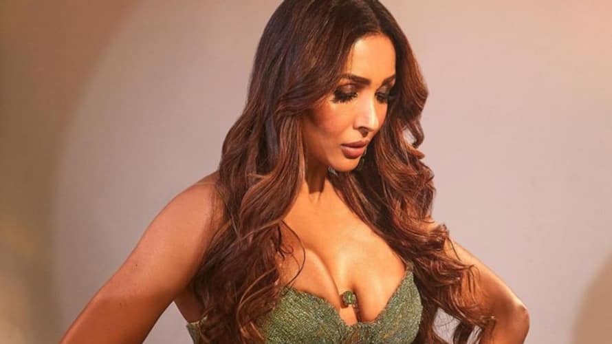 Sexy Malaika Porn - Shameful': Netizens slam Malaika Arora for wearing Balenciaga dress to  Manish Malhotra's birthday party