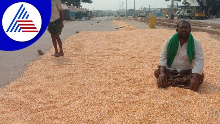 Harassment of brokers for not buying maize from farmers in Bellary APMC Harassment of brokers for not buying maize from farmers in Bellary APMC