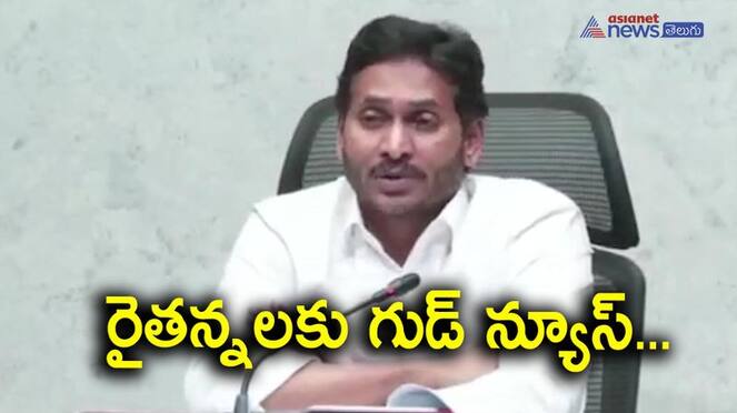 AP CM YS Jagan Released input subsidy and interest subvention to farmers