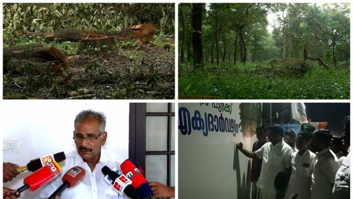 Cutting of trees in forest land Temporarily stopped Cutting of trees in forest land Temporarily stopped