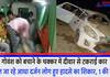 Car accident while saving cattle in Farrukhabad half a dozen people injured