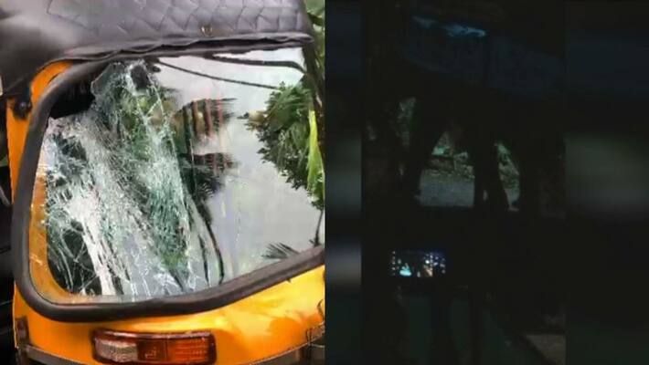 football fans were attacked by wild elephant in konoor kandi football fans were attacked by wild elephant in konoor kandi