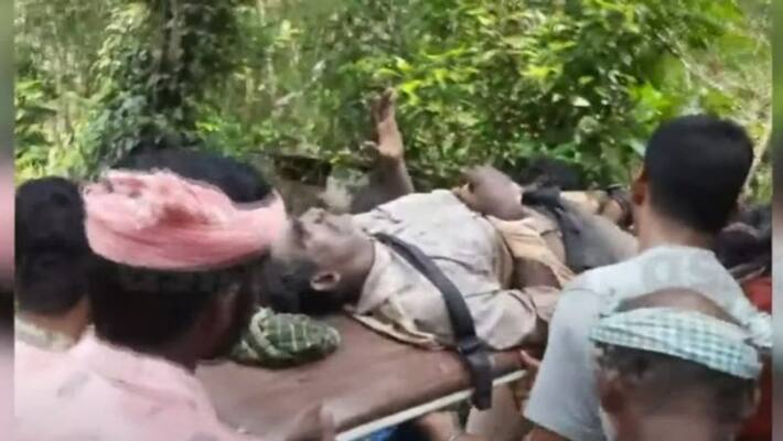 KSEB tower work worker injured in Tiger attack KSEB tower work worker injured in Tiger attack