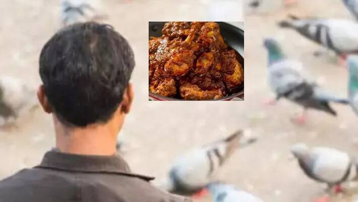 police booked eight after men supplied pigeons meat to Mumbai restaurant in the name of chicken akb police booked eight after men supplied pigeons meat to Mumbai restaurant in the name of chicken akb