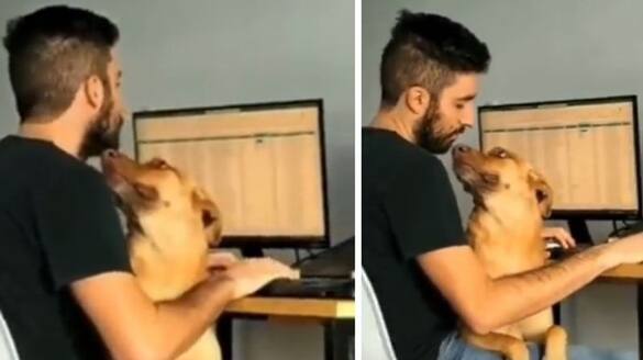 man in working from home with his pet dog the video goes viral