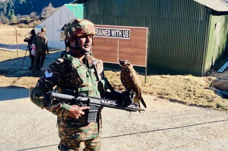 Army training black kites and dogs with mounted surveillance cameras and GPS; they have a special task