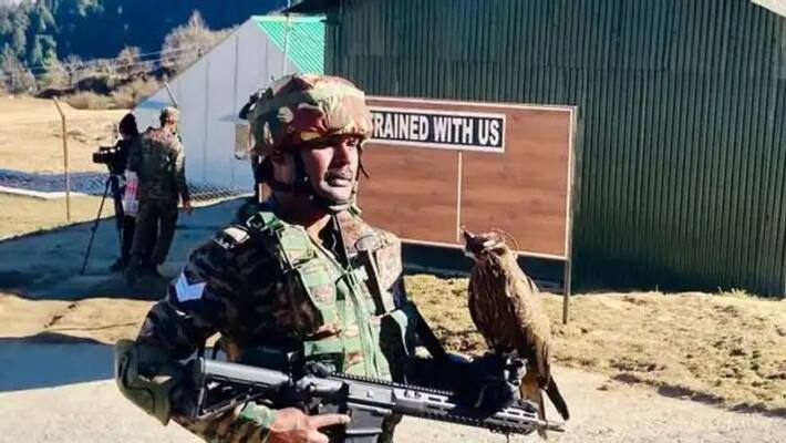 How black kites are trained to take down enemy Drones in India China Pakistan border How black kites are trained to take down enemy Drones in India China Pakistan border