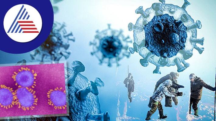 Scientists Revive 48,500 Year Old Zombie Virus Buried In Ice in russia Scientists Revive 48,500 Year Old Zombie Virus Buried In Ice in russia