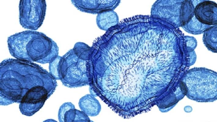 Scientists revive 48,500-year-old 'zombie' virus from Siberian permafrost, is it bad news? AJR Scientists revive 48,500-year-old 'zombie' virus from Siberian permafrost, is it bad news? AJR