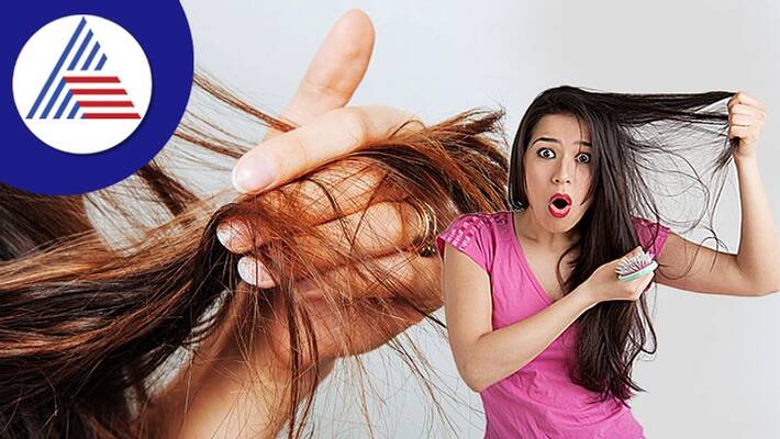 These may be the mistakes for Hair Fall These may be the mistakes for Hair Fall